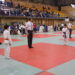 El campeonato regional de deporte escolar demuestra en Manzanares el potencial educativo y valores del judo